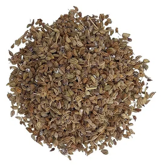 Ajowanzaad of Indiase tijm
