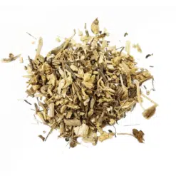 Echinacea-wortel-of-rode-zonnehoed