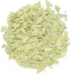 Eucalyptus