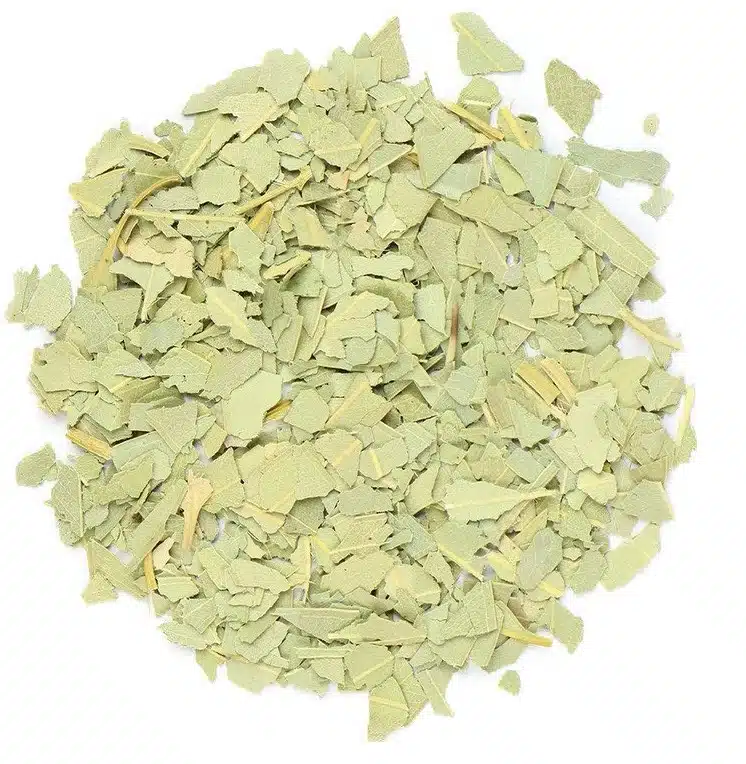 Eucalyptus