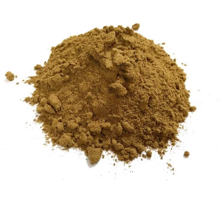 Ginkgo-biloba-gemalen