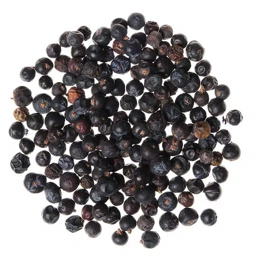 Jeneverbessen