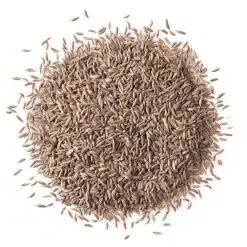 Karwijzaad-of-Kummelzaad