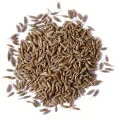 Komijnzaad