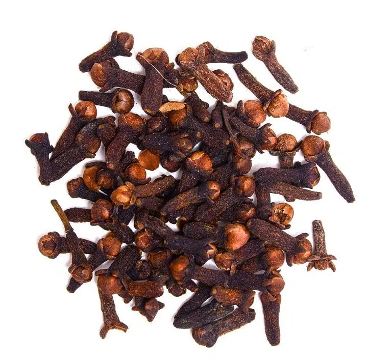 Kruidnagel