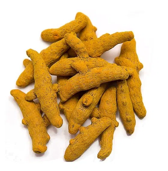 Kurkuma wortel