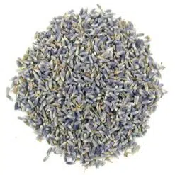 Lavendel