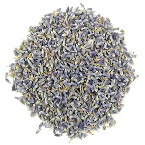 Lavendel
