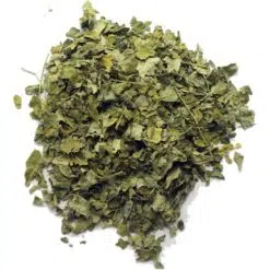 Moringa blad