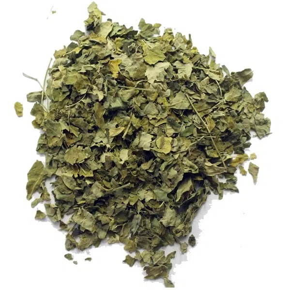 Moringa blad