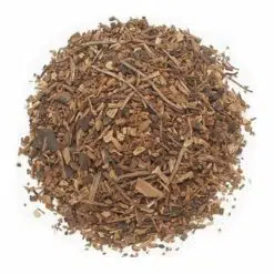 Sarsaparilla