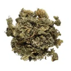 artisjok-blad