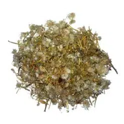 bloedwortel bloem