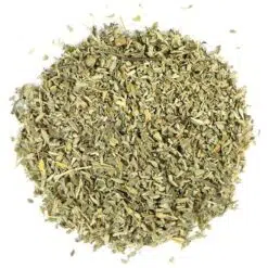 damiana-of-damiaankruid