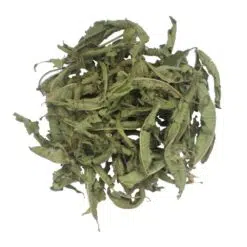 verveine-of-citroenverbena-heel