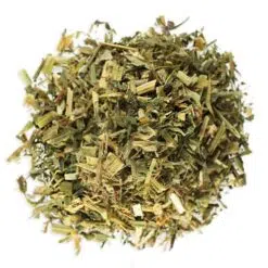 Alfalfa