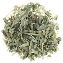 Bamboe-blad
