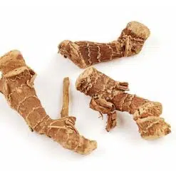 Galangawortel-heel