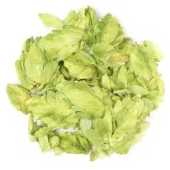 Hop-of-hopbloemen