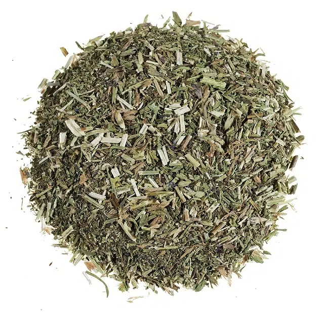 verbena