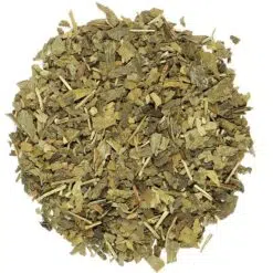 Ginkgo biloba gesneden