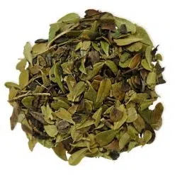 berendruif blad