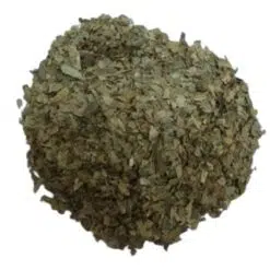 Sinaasappelblad