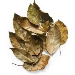 Avocado-blad